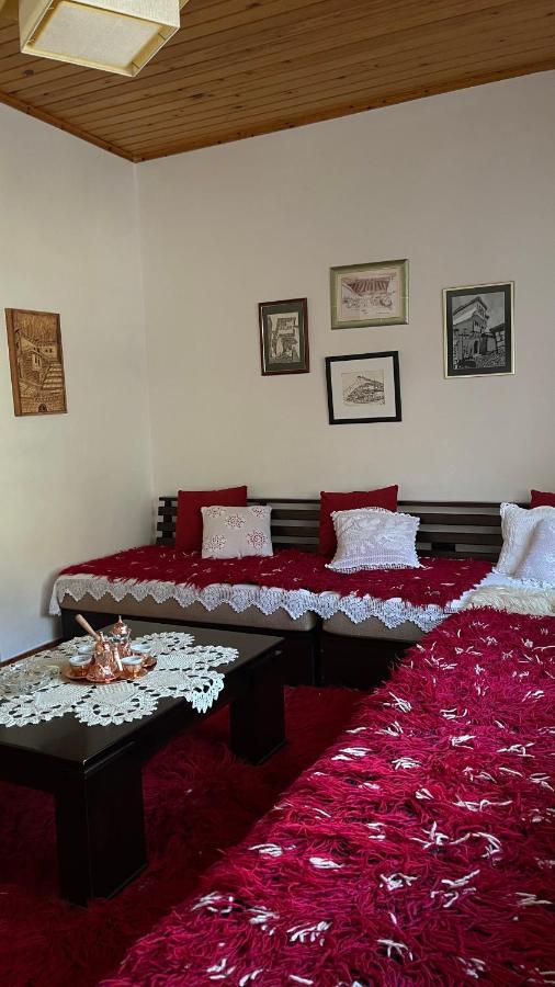 Ana Rest House Hostel Berat Bagian luar foto